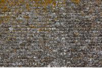 wall bricks overgrown moss 0007